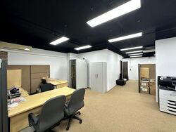 Vertex (D14), Factory #557606091